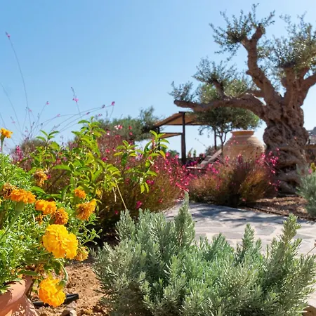 Yiannis Retreat Guest house Zakros
