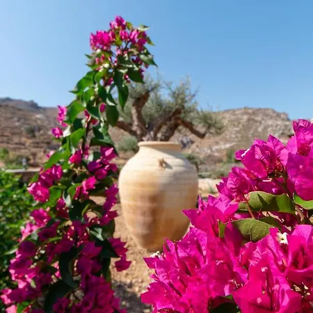 Guest house Yiannis Retreat Zakros